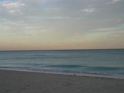 P1013595.JPG