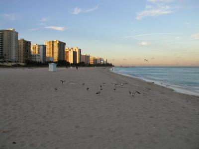 P1013602.JPG