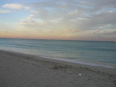 P1013604.JPG