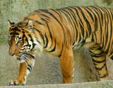 CRW_0056_RT8.jpg