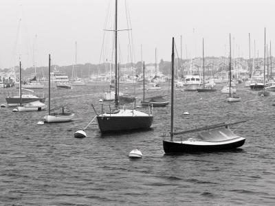 Falmouth Harbor BW.jpg