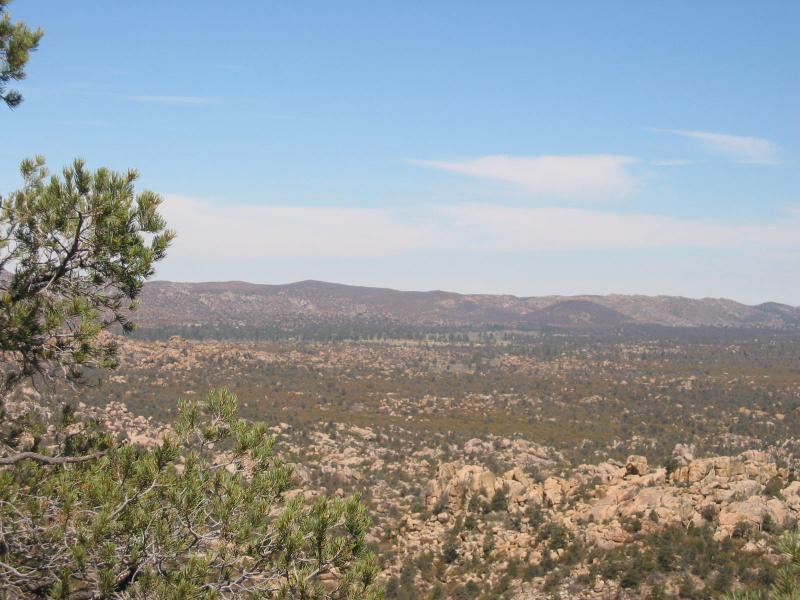 View out towards the ranch (see the green meadow in distance?)