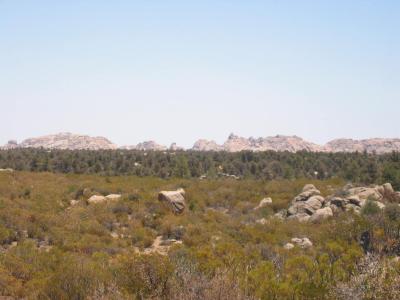 Canon Tajo in the distance