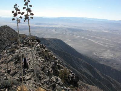 View of desert floor from top of ridge
