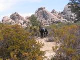 Jeanette & Chanate in front of Canon Tajo rocks