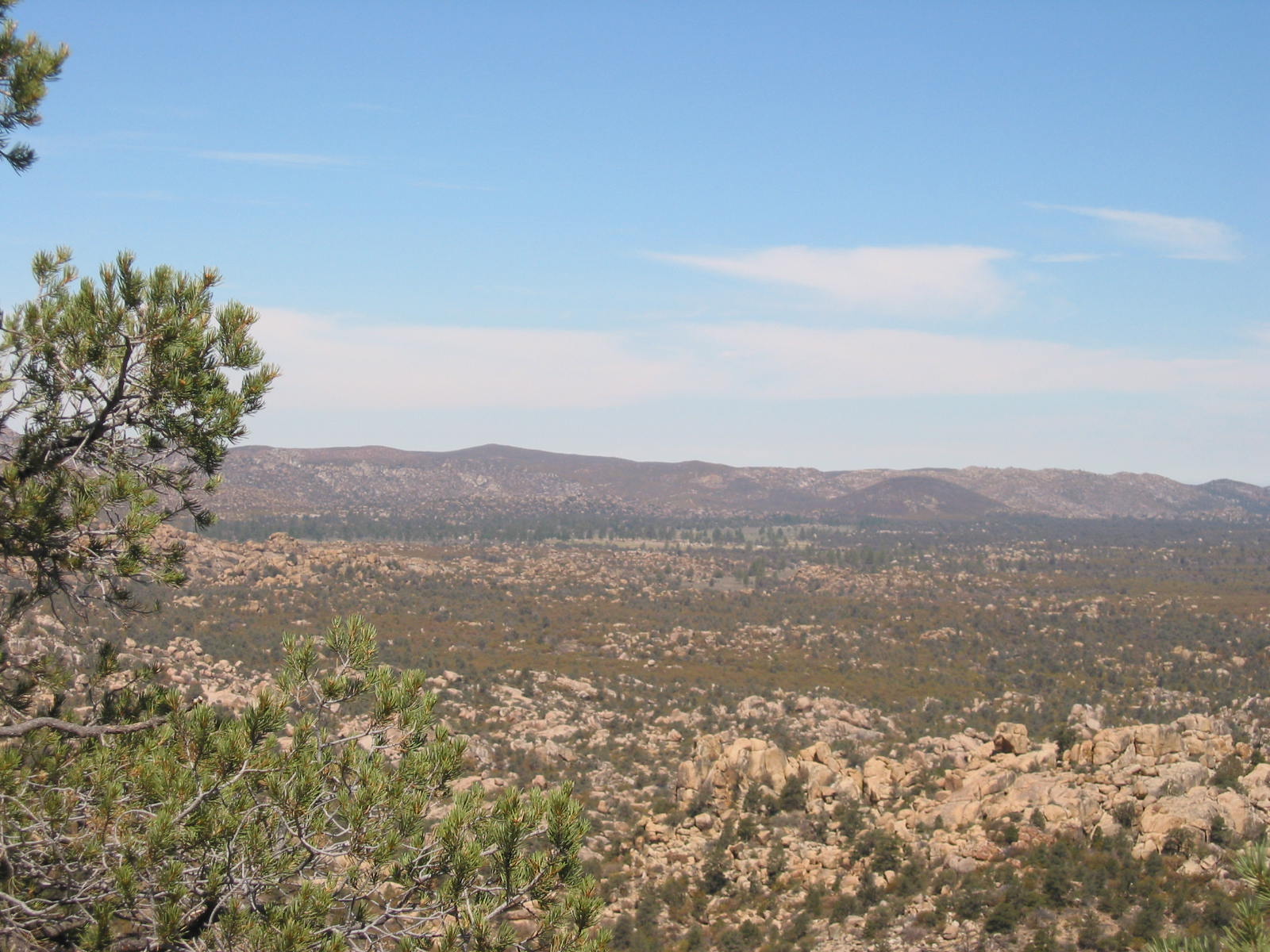 View out towards the ranch (see the green meadow in distance?)