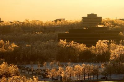 _MG_4979.jpg