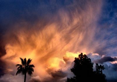 Ariz sunset storm.jpg