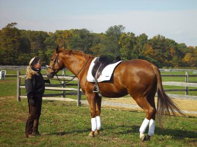 Willow Tree Farm Equestrian Center