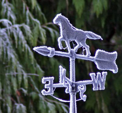 A Frosty day in January (Onalaska)