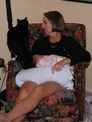 Tuxedo Checking Out Grace with Jill in Grandma Orr's rocking chair