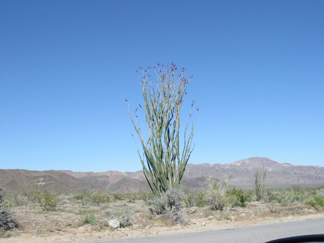 133-3327_IMG.JPG