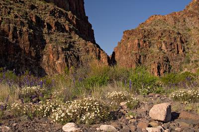 Near Entrance of Closed Canyon