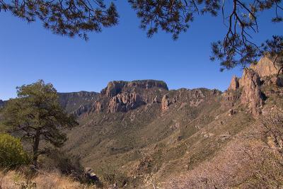 View of Juniper Canyon from Lost Mine Trail