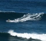 Surfing, Peahi (Jaws)
