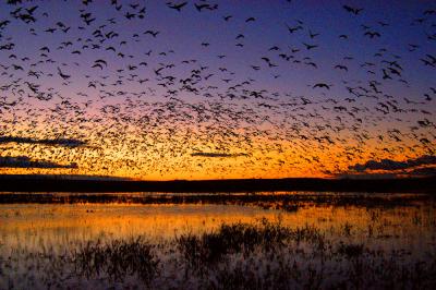 First flight at first light