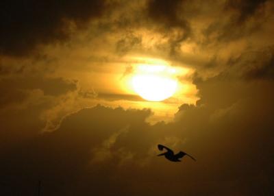 Keys Sunset