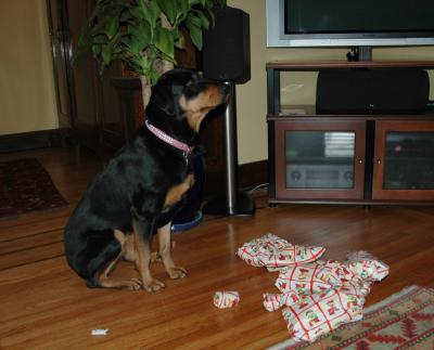 30dec04-01.jpg
