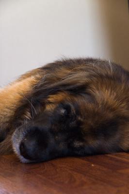 Do not disturb