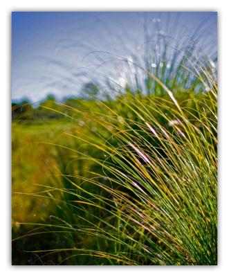 spanish hills 3