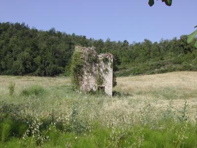 Shack, Umbria