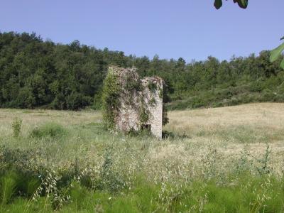 Shack, Umbria