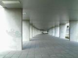 DSCF2836.JPG