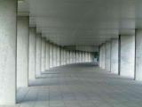 DSCF2840.JPG