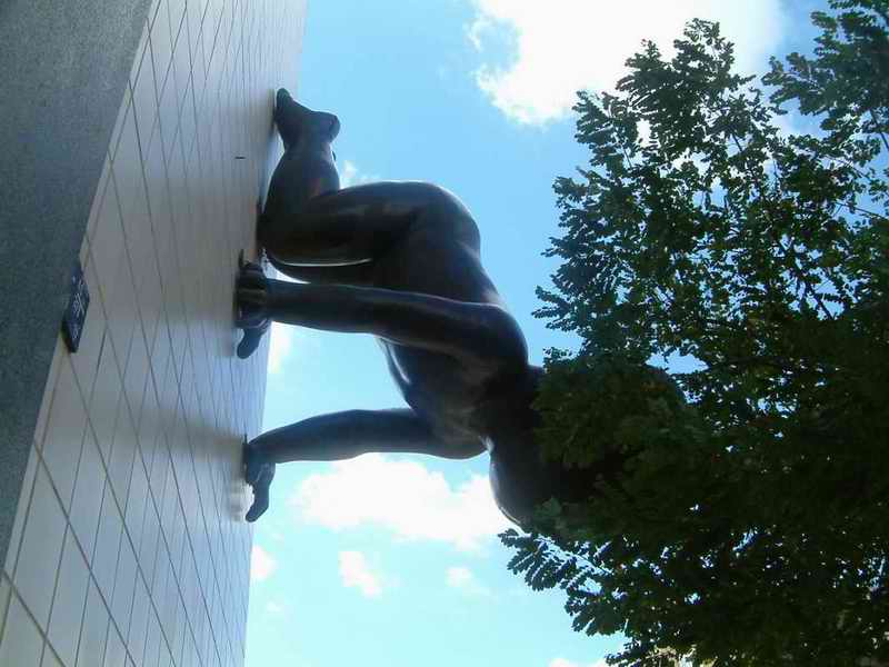 DSCF3037.JPG