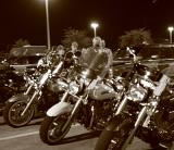 hogs. in sepia