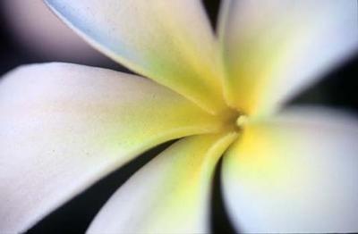 Nature002.jpg
