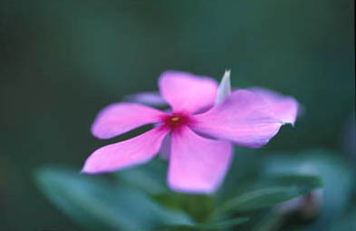 T0020.jpg