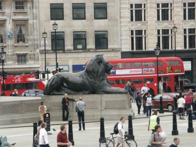 Lion at Trafalgar Square