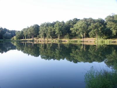 Thorndon Park lake