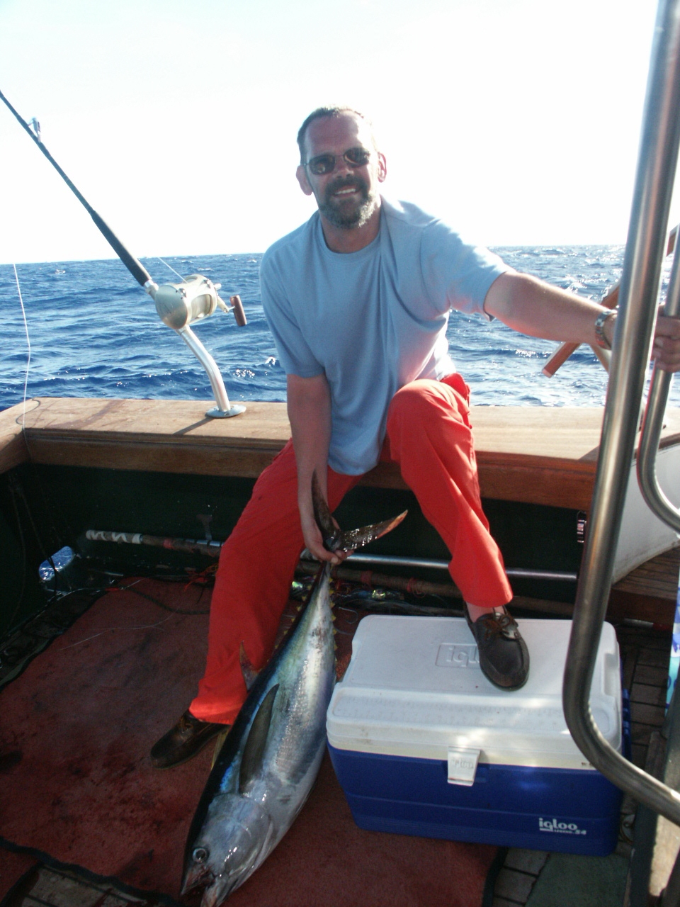 nice tuna