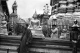 Buddhist Monk and Devotees
