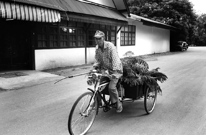 Trishaw Rider