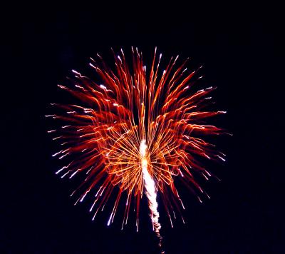 fireworks at Elver Park
