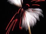 fireworks at Elver Park