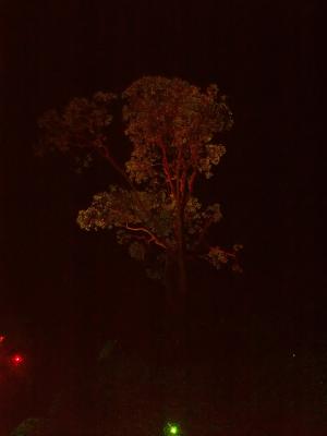 PICT0546
