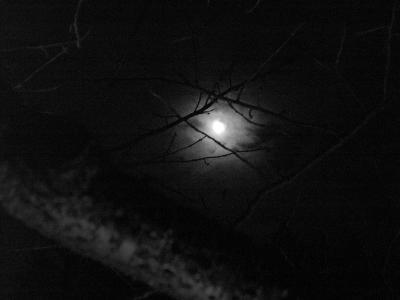 PICT0571