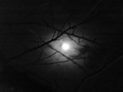 PICT0572