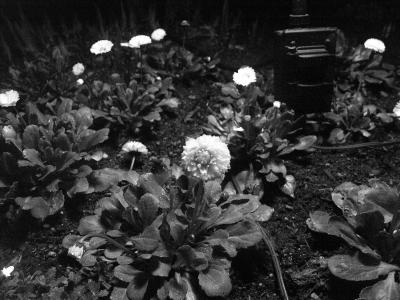 PICT0597