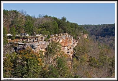 Little River Canyon Cliff - IMG_0280.jpg