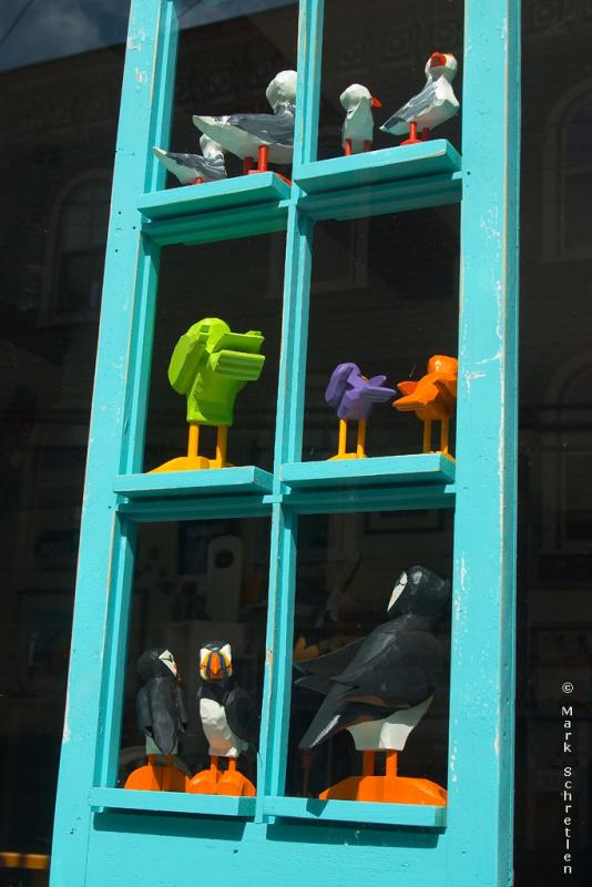 Birds in the Window