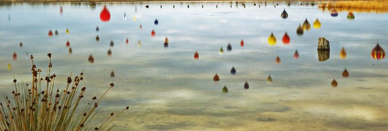 Up up and Away by Paul Rohal