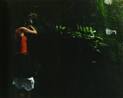 u12/kodak_challenge/medium/38356062.Redgreen.jpg