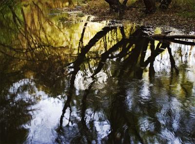 Down by the Creek by Paul Rohal