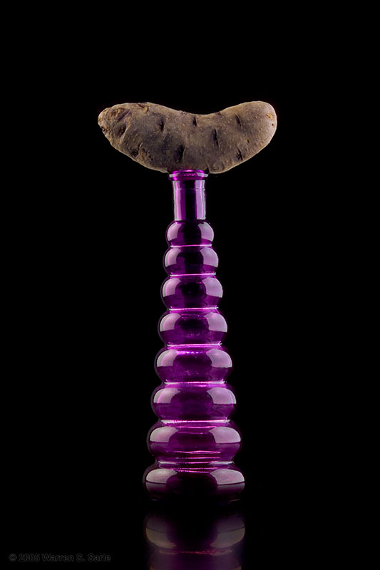 Bottle & Potato by Warren Sarle