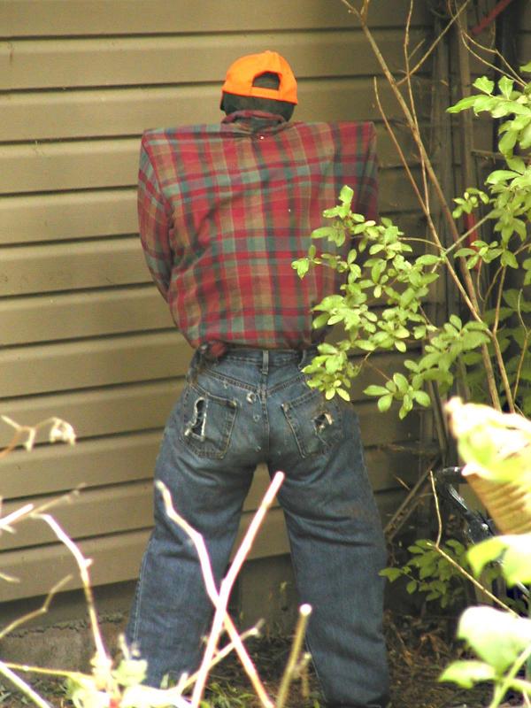 P7182232Scarecrow2002 copy.jpg
